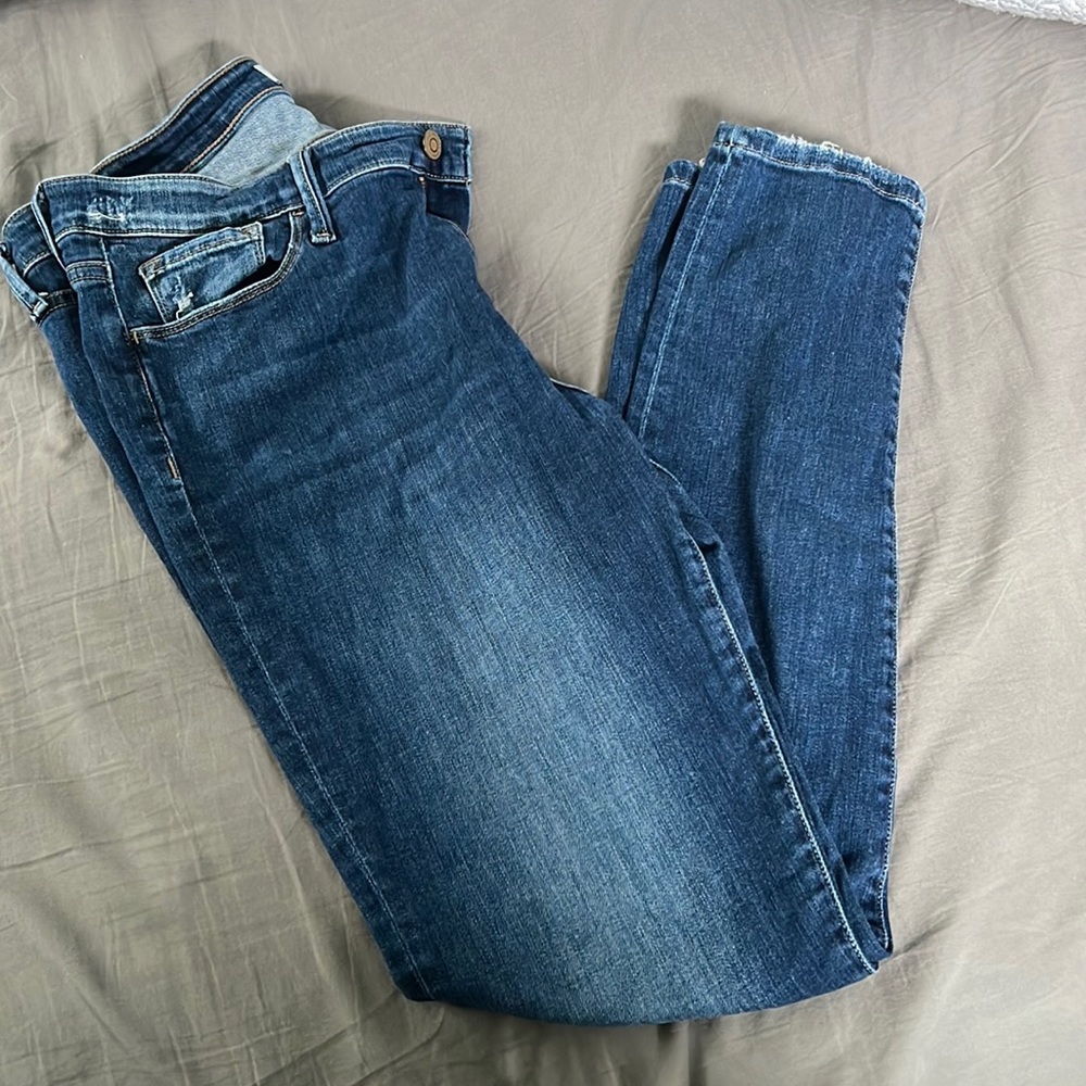 Flying Monkey Lightly Distressed Skinny Jeans